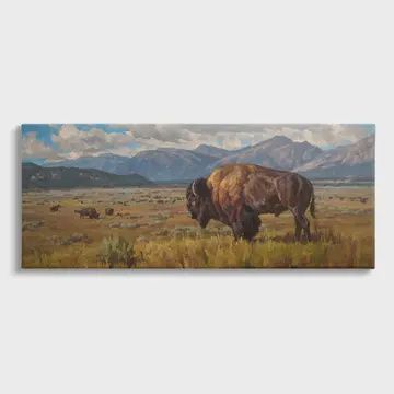 Bison Grazing in Valley Canvas Wall Art