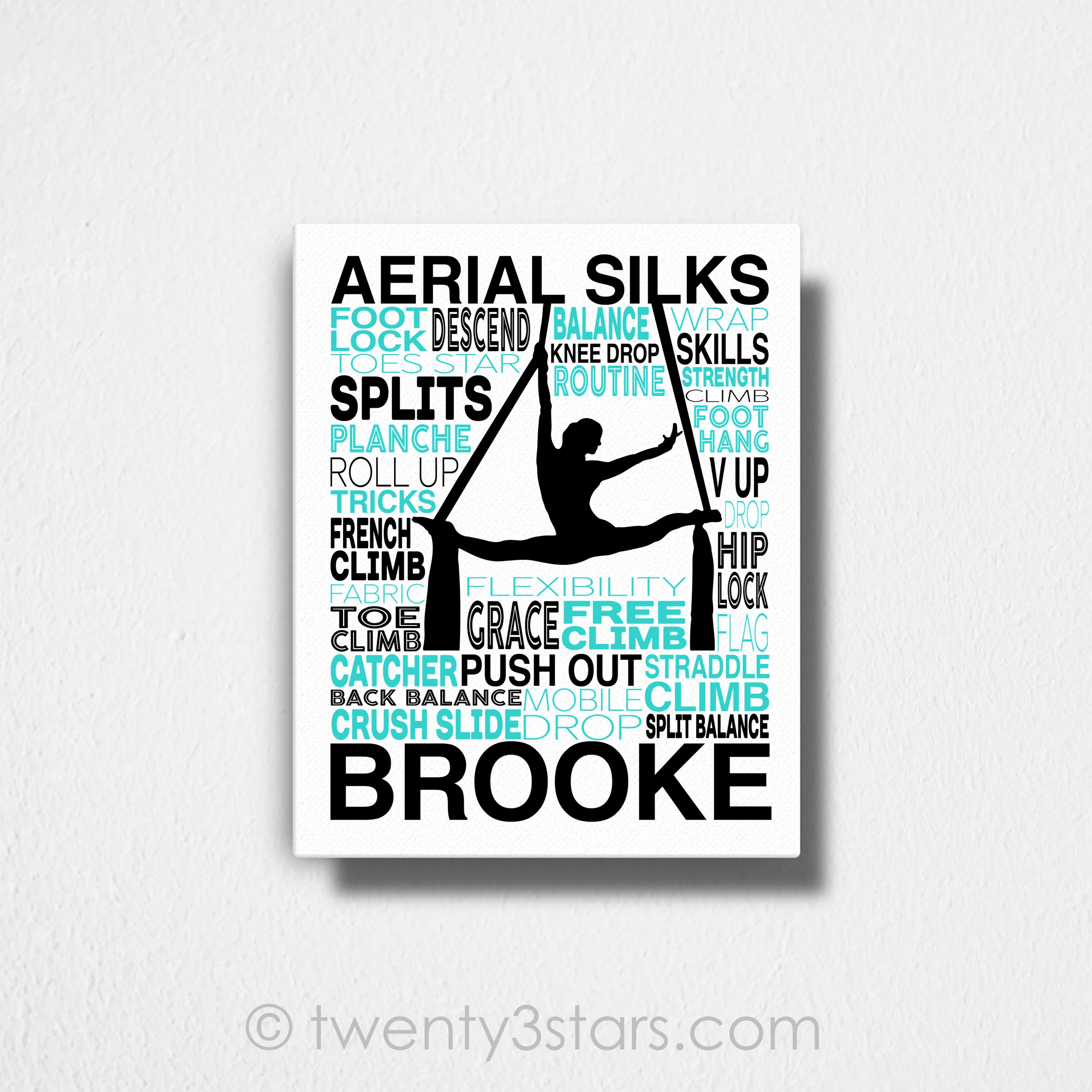 Aerial Silks Typography Wall Art
