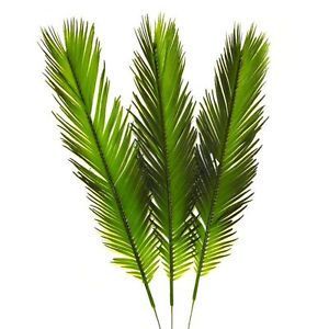 Date Palm (pack of 4)