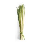 Cut Cleaned Palm (100 Strips/Pack)