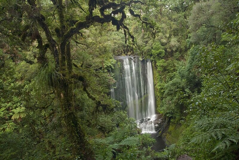 Korokoro Falls, Lake Waikaremoana