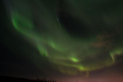 阿拉斯加荒野與極光之旅11日 阿拉斯加荒野與極光之旅11日