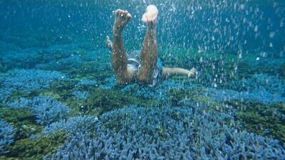 海島生活