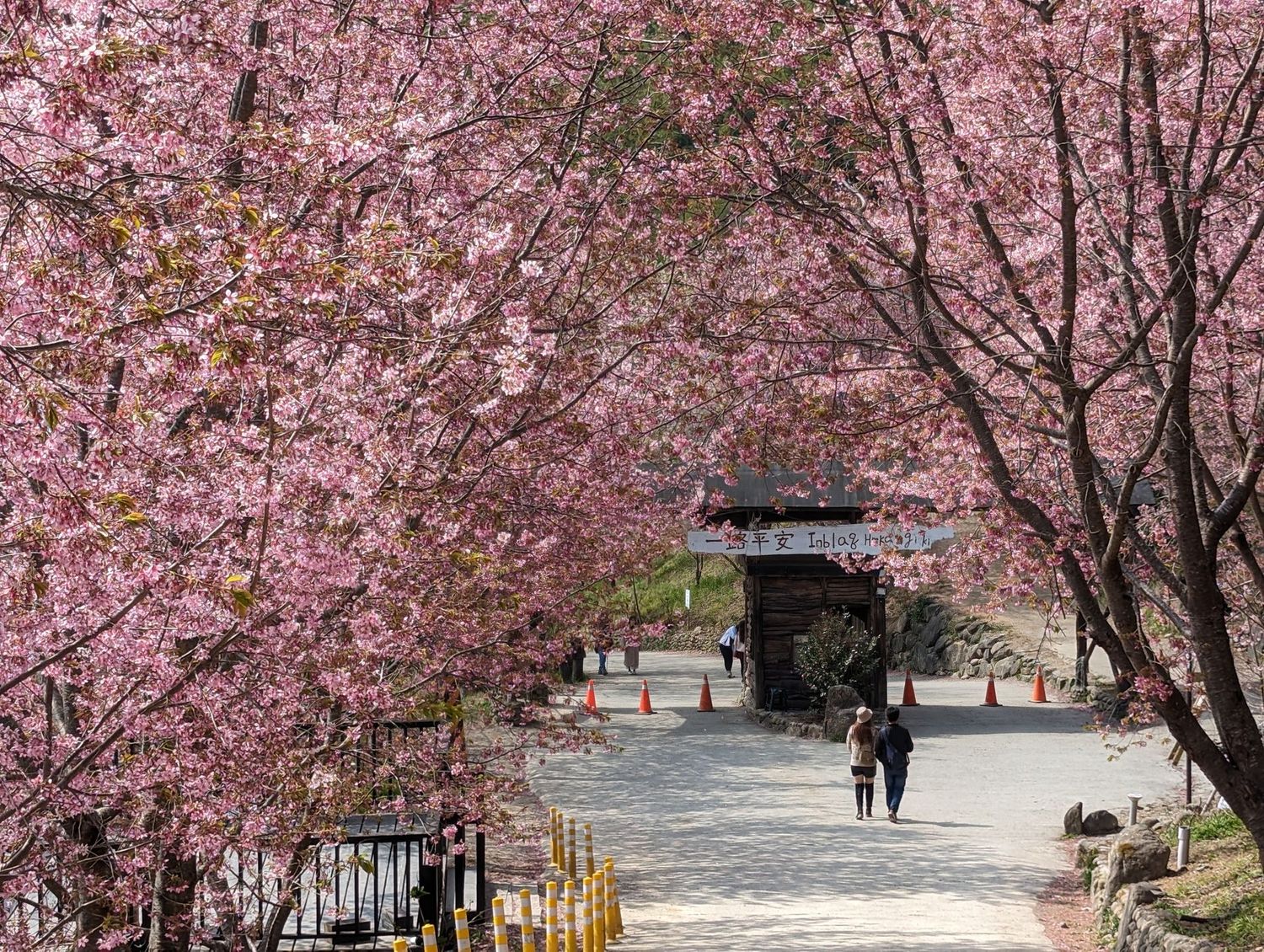 司馬庫斯&野外私廚&星空露營|新竹高鐵出發|2天1夜 司馬庫斯&野外私廚&星空露營|新竹高鐵出發|2天1夜