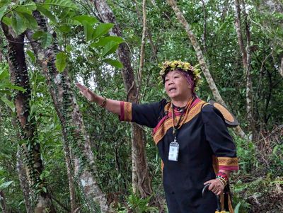 漫遊南迴線兩天一夜-會走路的樹-草地餐桌-金崙溫泉-排灣族體驗 漫遊南迴線兩天一夜-會走路的樹-草地餐桌-金崙溫泉-排灣族體驗