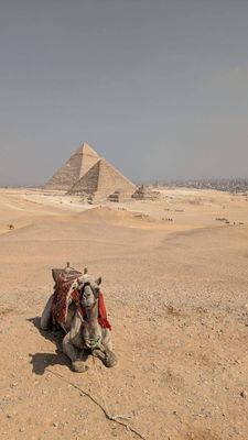 埃及-古老的王國深度之旅12日 埃及-古老的王國深度之旅12日