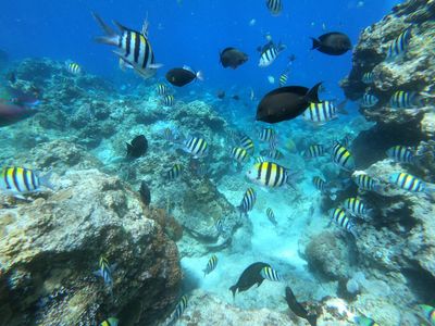 黑潮上的火山島-綠島-3天2夜 黑潮上的火山島-綠島-3天2夜