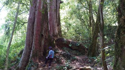 新竹鎮西堡星空露營 | 新竹高鐵出發 | 兩天一夜 新竹鎮西堡星空露營 | 新竹高鐵出發 | 兩天一夜