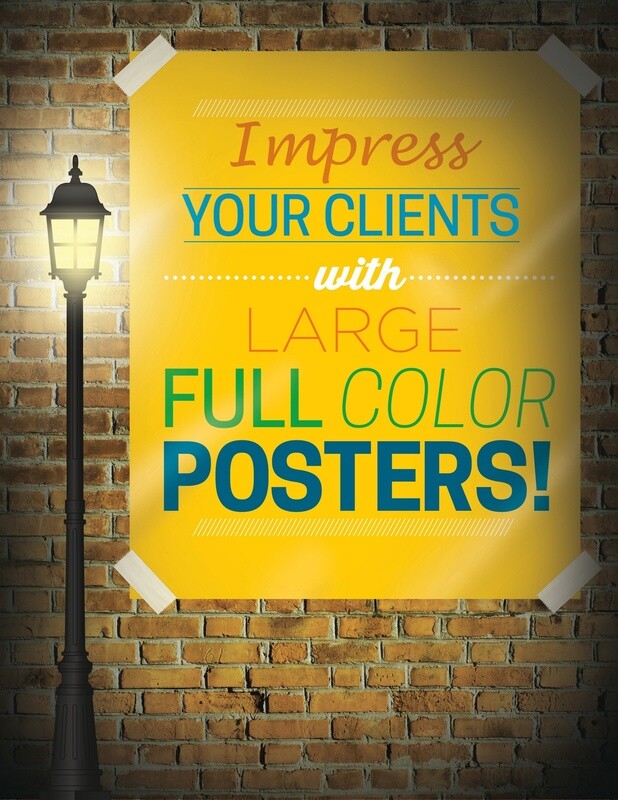 16&quot; x 20&quot; - 8mil Large Poster