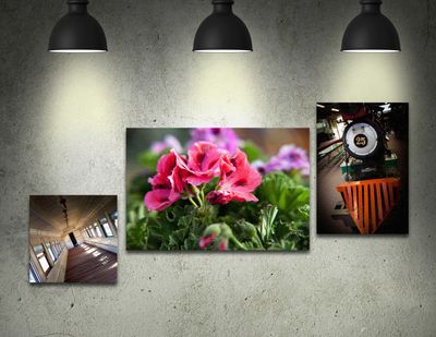 Mounted Canvas