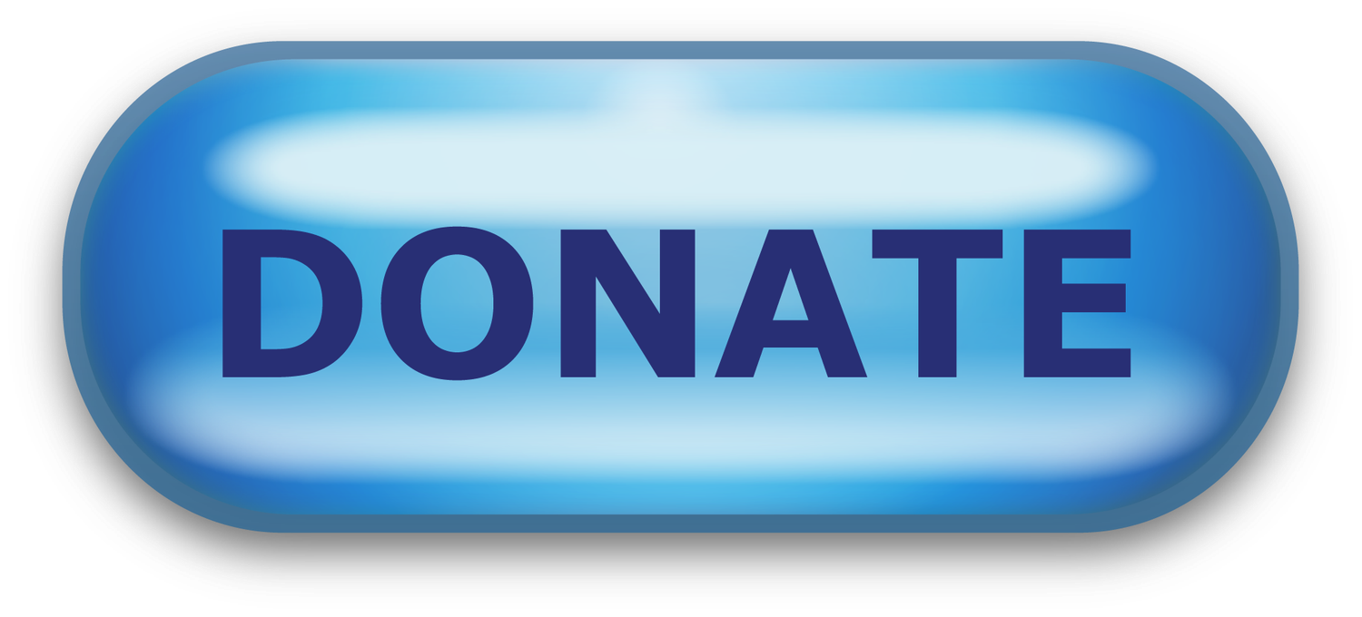 Donate Now (Kickin&#39; With Santa)
