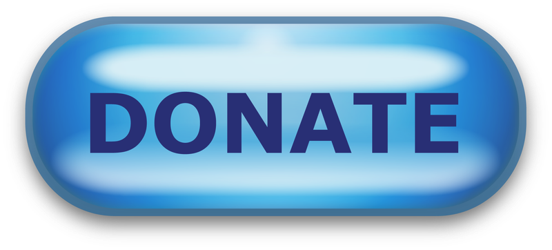 Donate Now (Kickin&#39; With Santa)