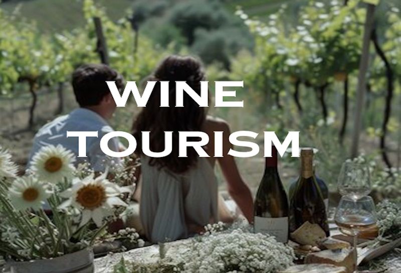 Diploma in Wine Tourism