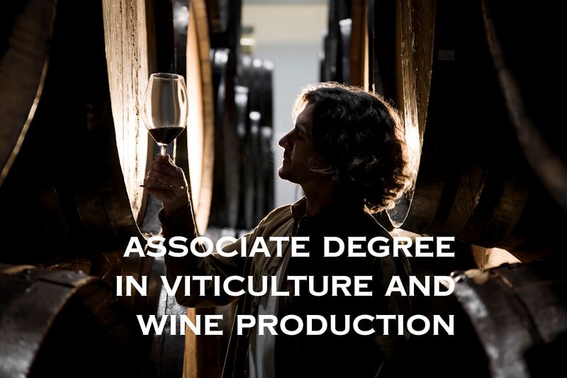 Associate Degree in Viticulture & Winemaking