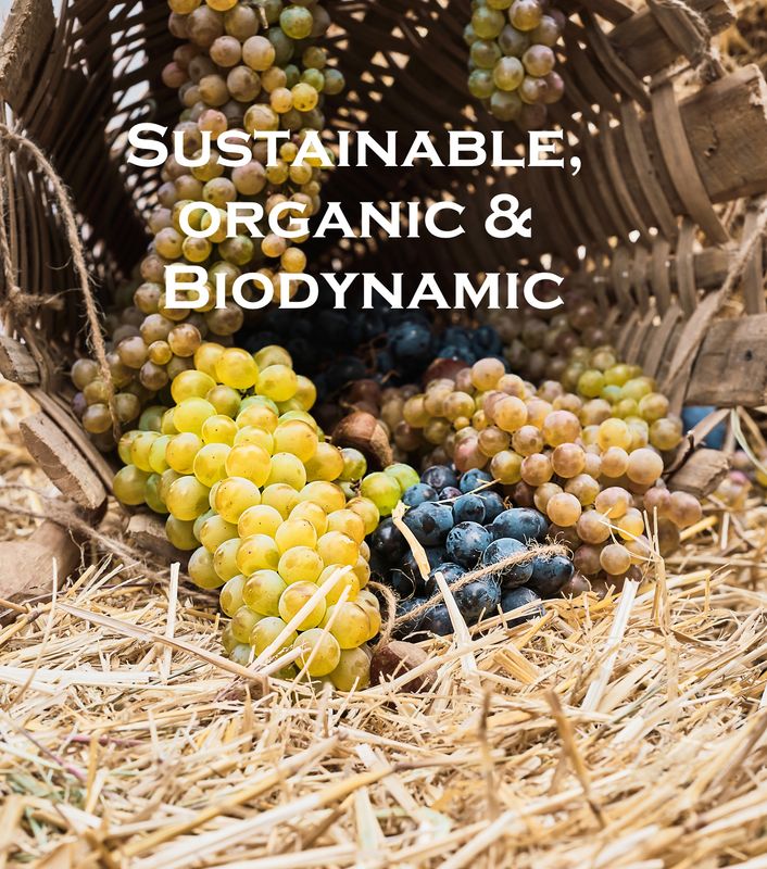 Diploma in the Viticulture and Production of Organic, Biodynamic & Natural Wines