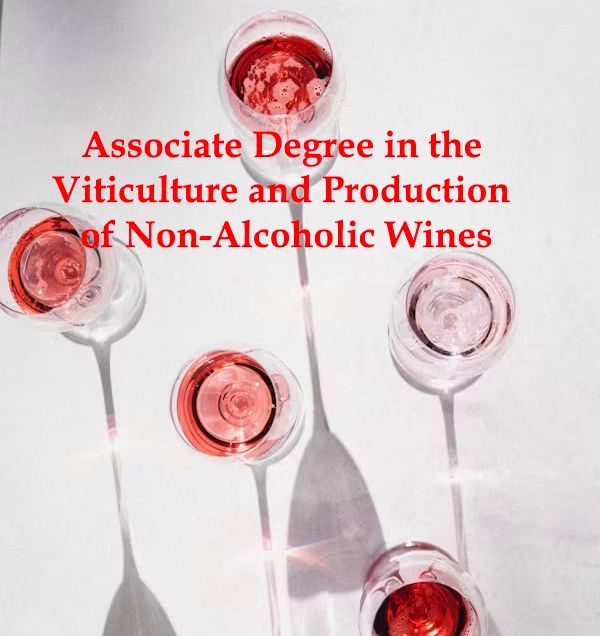 AD in the Viticulture and Production of Non-Alcoholic Wines