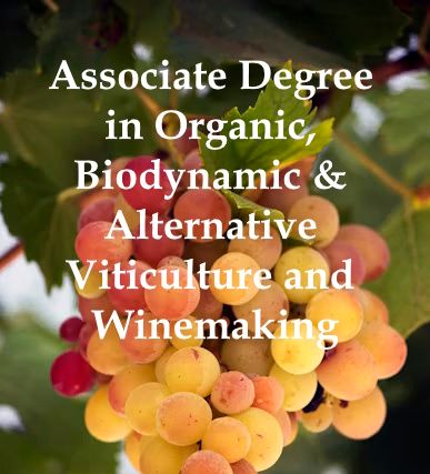 Associate Degree in Organic, Biodynamic & Alternative Viticulture and Winemaking