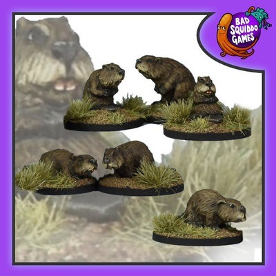 Beavers (6)