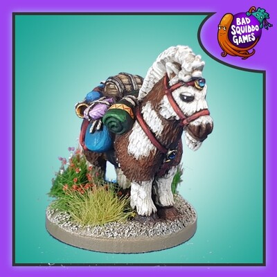 Norbert the Pack Pony