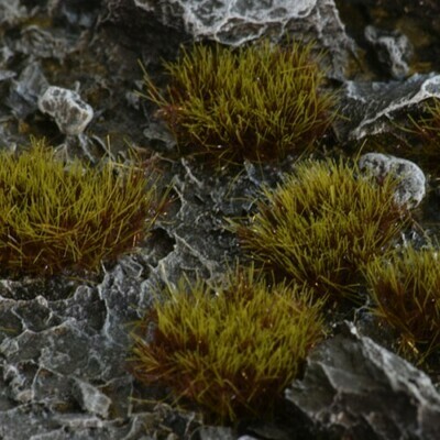 Swamp XL 8mm (Gamer&#39;s Grass)
