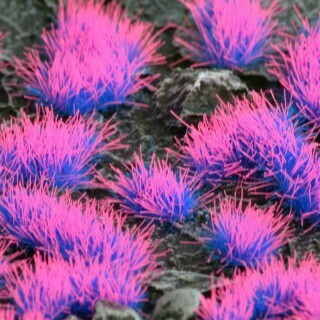 Alien Neon 6mm tufts (Gamer&#39;s Grass)