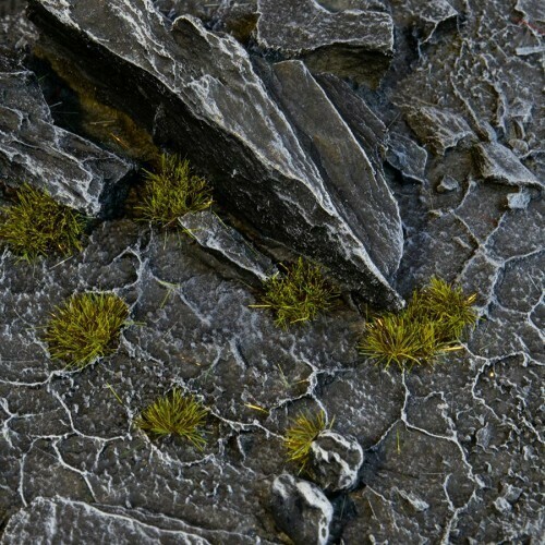 Tiny Tuft Dark Moss 2mm Tufts (Gamer&#39;s Grass) Wild