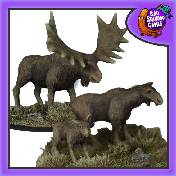 Moose Family (3)