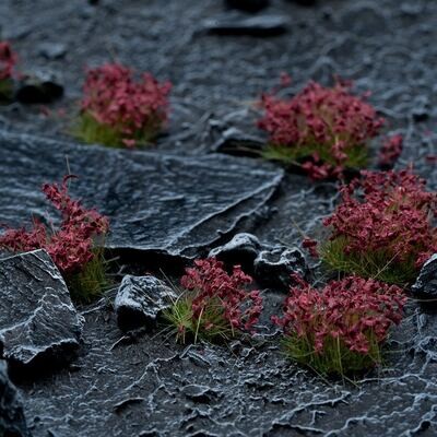 Dark Purple Flowers (Gamer&#39;s Grass) LAST FEW