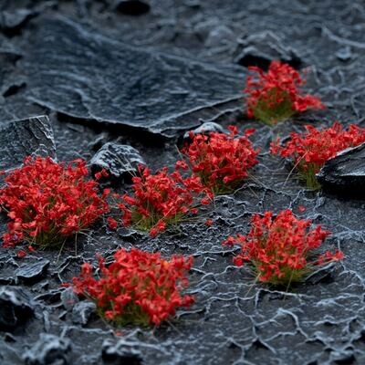 Red Flowers (Gamer&#39;s Grass) LAST FEW