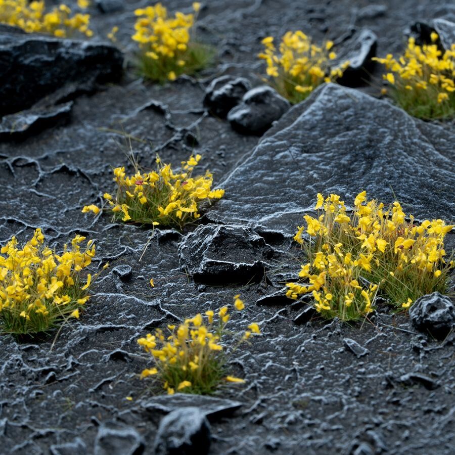 Yellow Flowers (Gamer&#39;s Grass) LAST FEW
