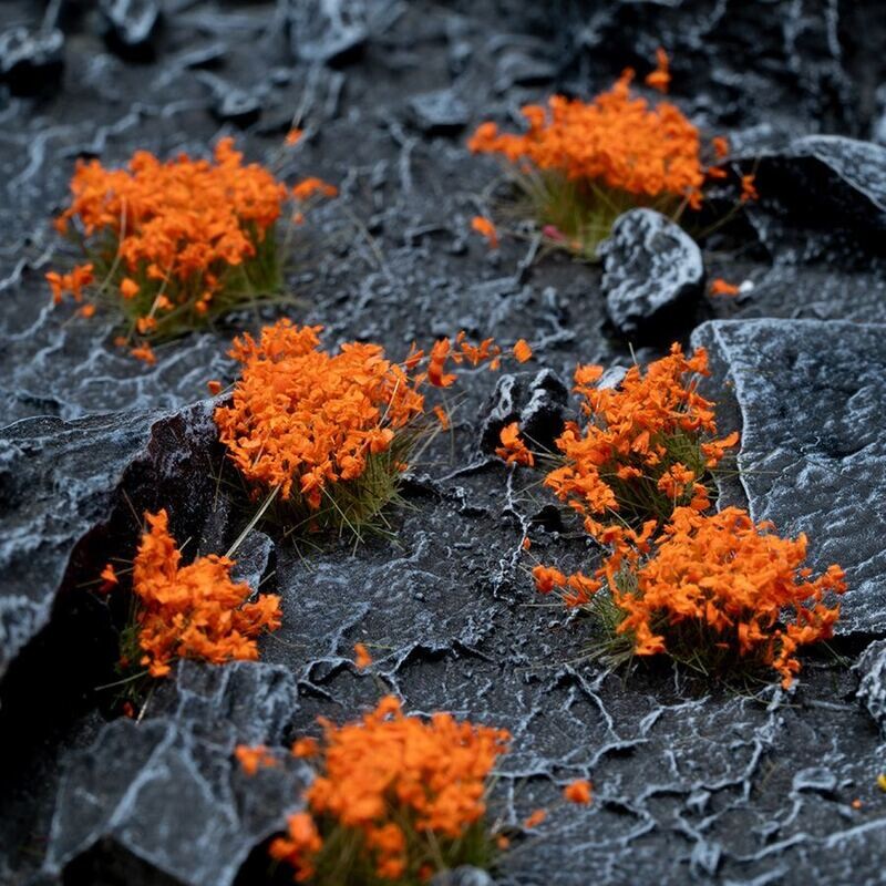 Orange Flowers (Gamer&#39;s Grass) LAST FEW