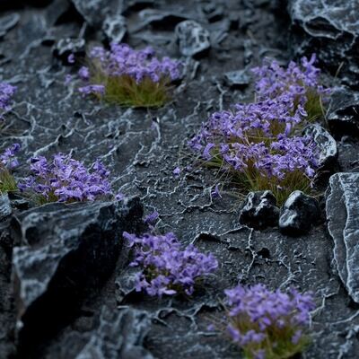 Violet Flowers (Gamer&#39;s Grass) LAST FEW
