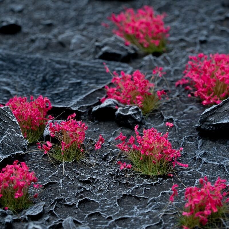 Pink Flowers (Gamer&#39;s Grass) LAST FEW