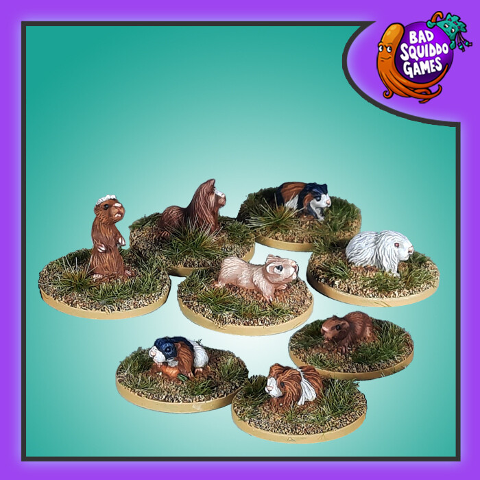 Guinea Pigs Pack 2 (8)