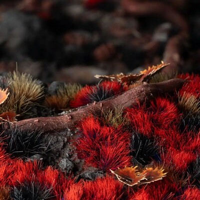 Alien Blood Moon 6mm tufts (Gamer&#39;s Grass)