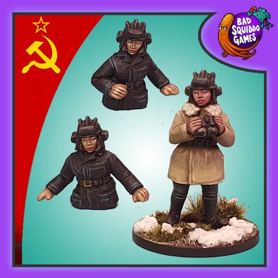 Winter Tank Command (3)