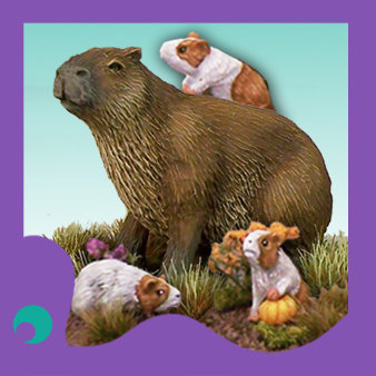 Animals