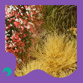 Gamer&#39;s Grass Tufts &amp; Plants
