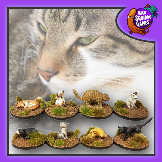 Kitties (8)
