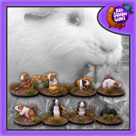 Guinea Pigs (8)