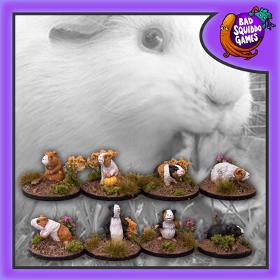 Guinea Pigs (8)