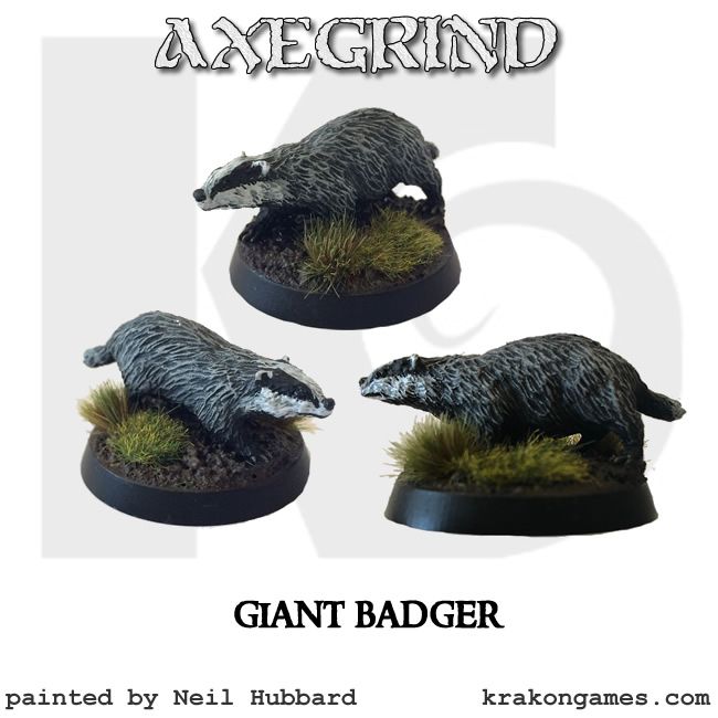 Badger (1)