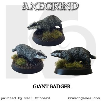 Badger (1)