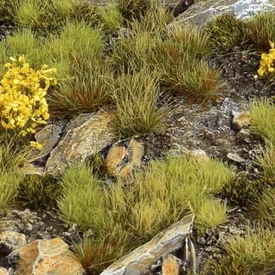 Highland Tuft Set (Gamer's Grass)