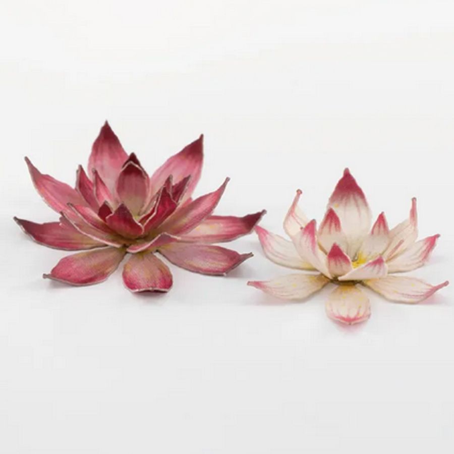 Lotus Flowers (42)
