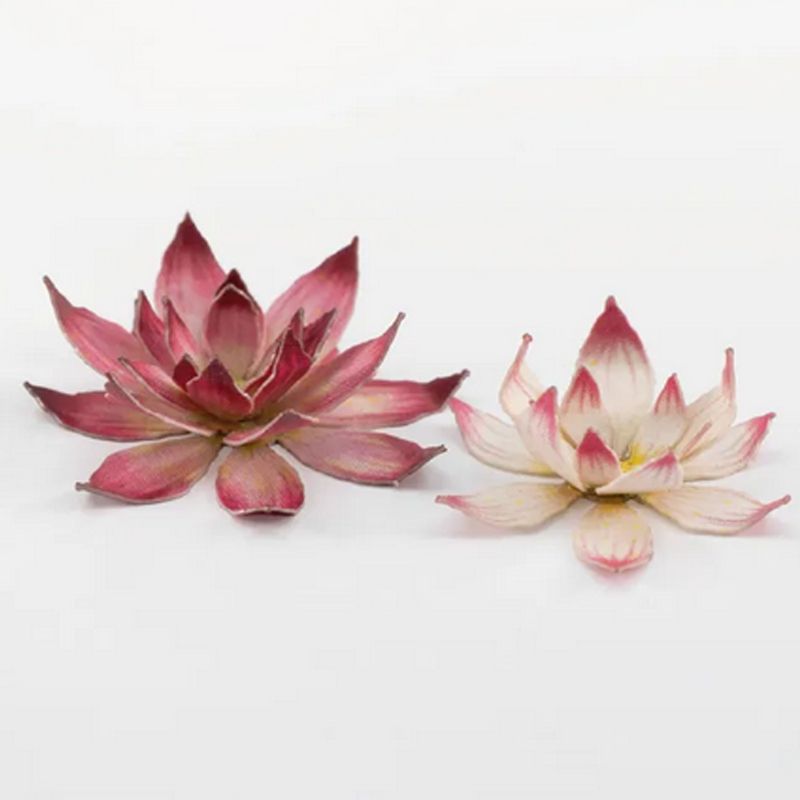 Lotus Flowers (42)