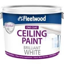 Fleetwood Ceiling Paint Matt Brilliant White Paint