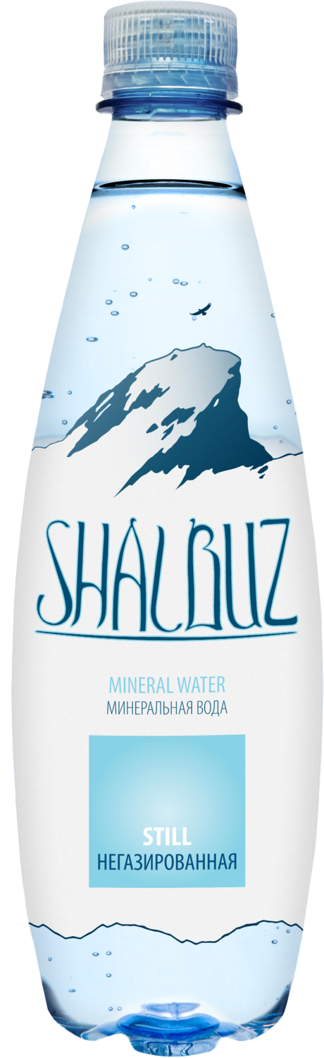 SHALBUZ Вода минеральная негазированная 0,5л пластик