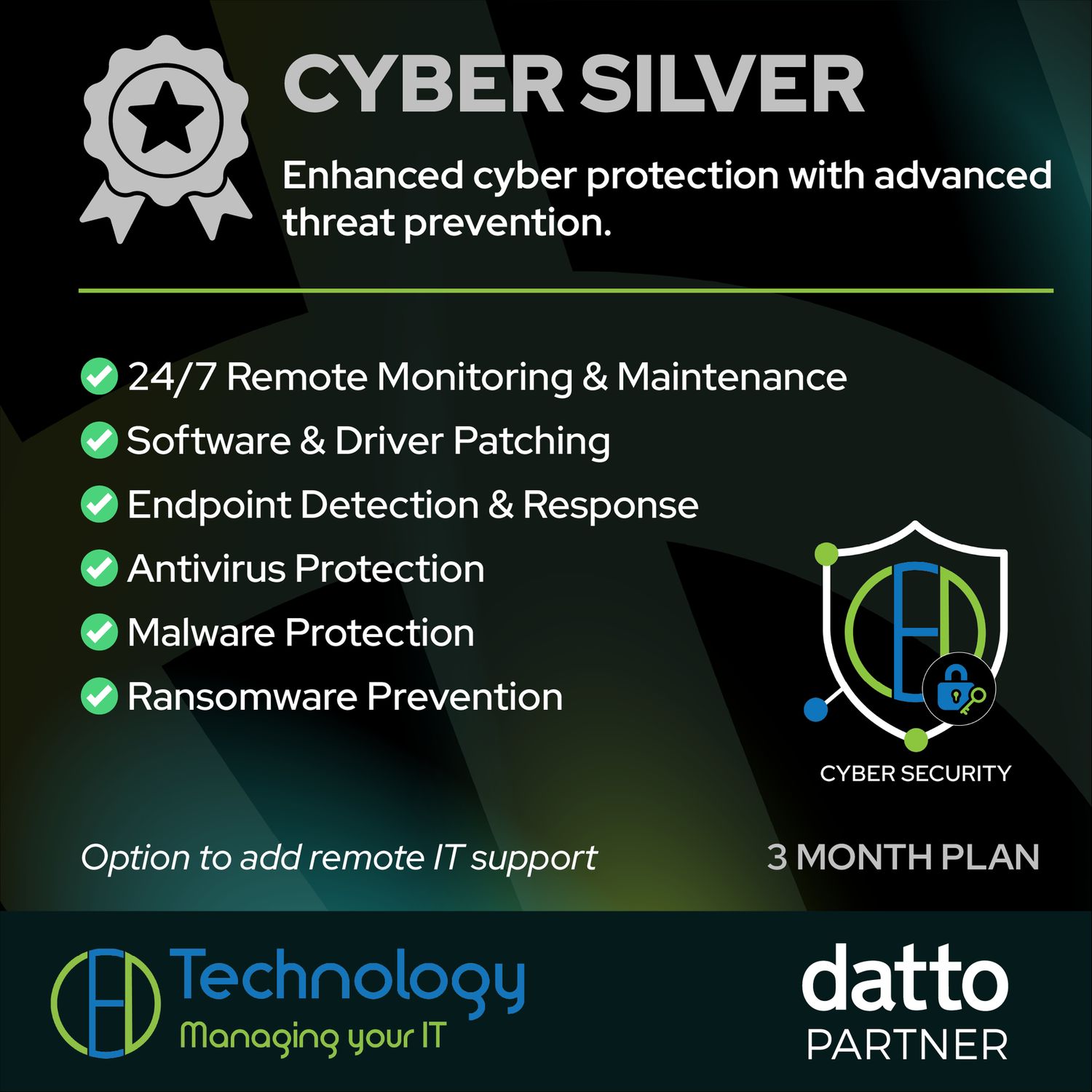 Cyber Silver Plan - 3 months