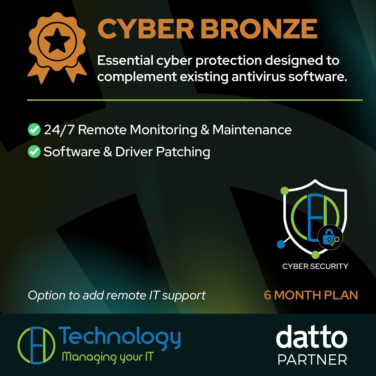 Cyber Bronze Plan - 6 months